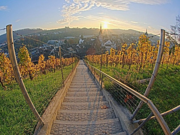 Schaffhausen Vineyard Switzerland 634x475 14 Beautiful Places Around the World