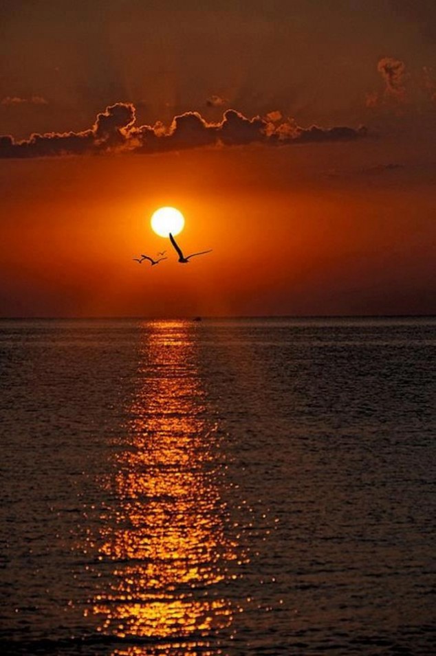 ... 634x955 15 BEAUTIFUL EXAMPLES OF SUNRISE AND SUNSET PHOTOGRAPHY