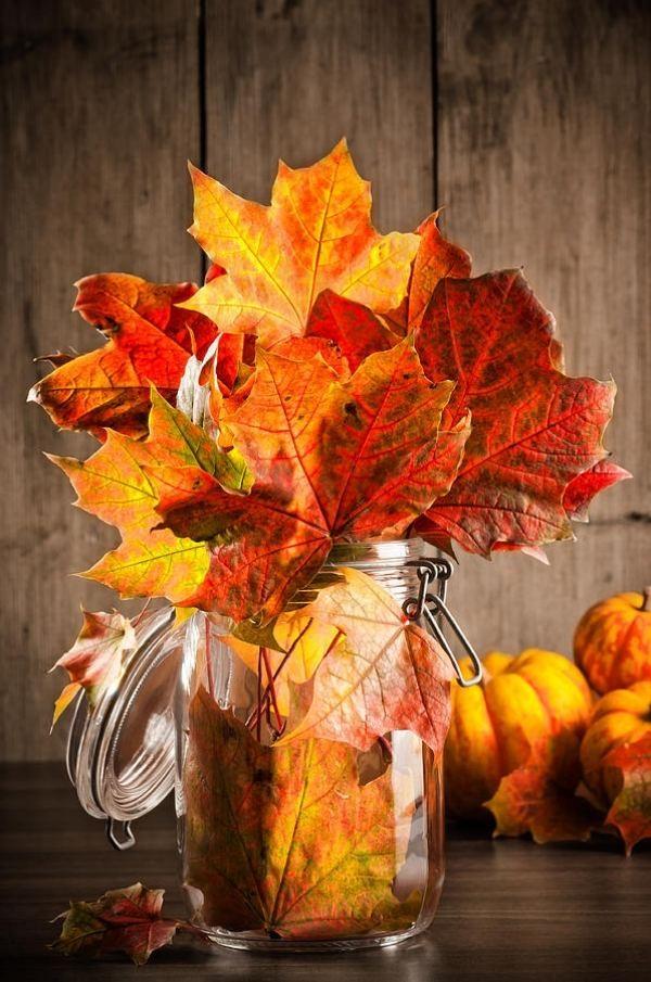 15 Must See DIY Fall-Inspired Home Decorations With Leaves