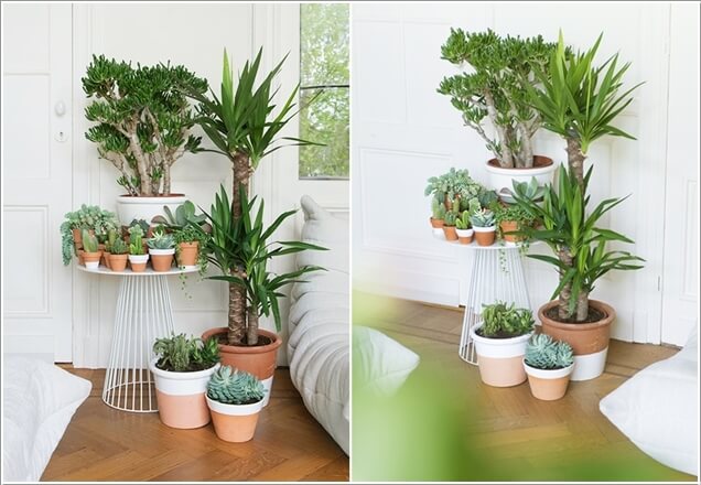 AD Amazing Ideas For Indoor Plants 02 12 Creative Ideas How To Display Your Indoor Plants