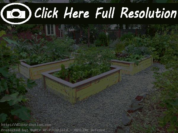Garden Designs And Layouts >> Vegetable Garden Designs Layouts Fantastic Viewpoint Garden Designs And Layouts >> Vegetable Garden Designs Layouts Fantastic Viewpoint