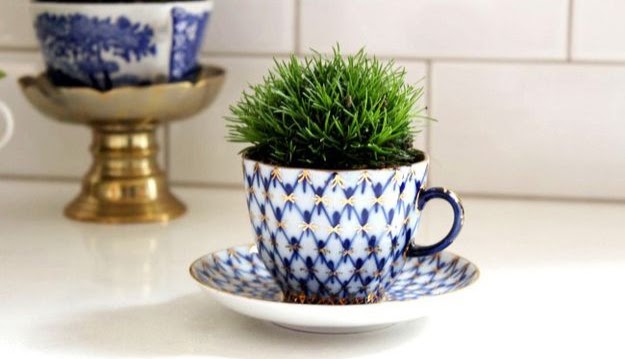 4808b6e22416c90635d97871c4da50772B28129 15 Tiny and Lovely DIY Garden in a Coffee Mug