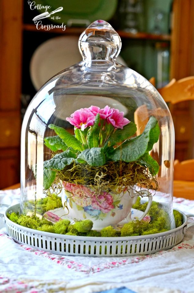 spring under glass 070 634x957 15 Tiny and Lovely DIY Garden in a Coffee Mug