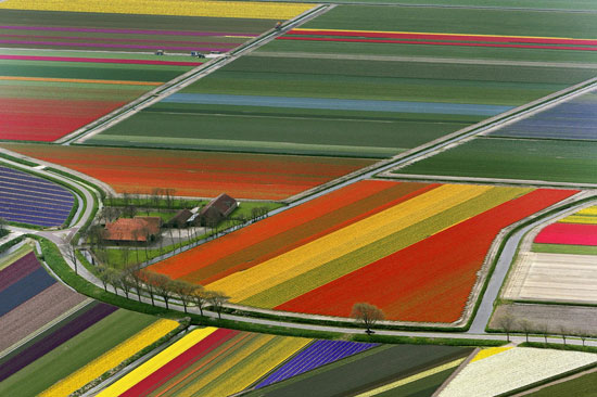 Amazing Nature Photos Which Can Confuse You Amsterdam The Netherlands Amazing Nature Photos Which Can Confuse You
