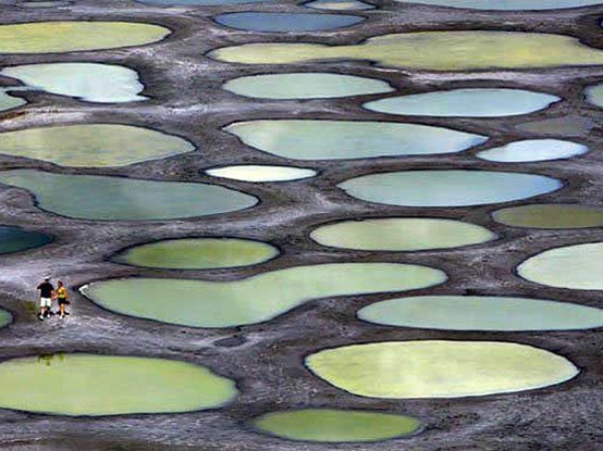Amazing Nature Photos Which Can Confuse You Spotted Lake Khiluk British Columbia Amazing Nature Photos Which Can Confuse You