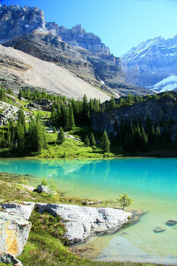 Lake O’Hara Yoho National Park Canada 13 Adorable Places Around the World via Photos