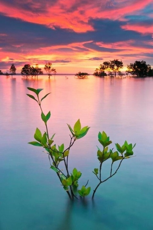 Outstanding Places Around the World Nature Landscape 1 Outstanding Places Around the World