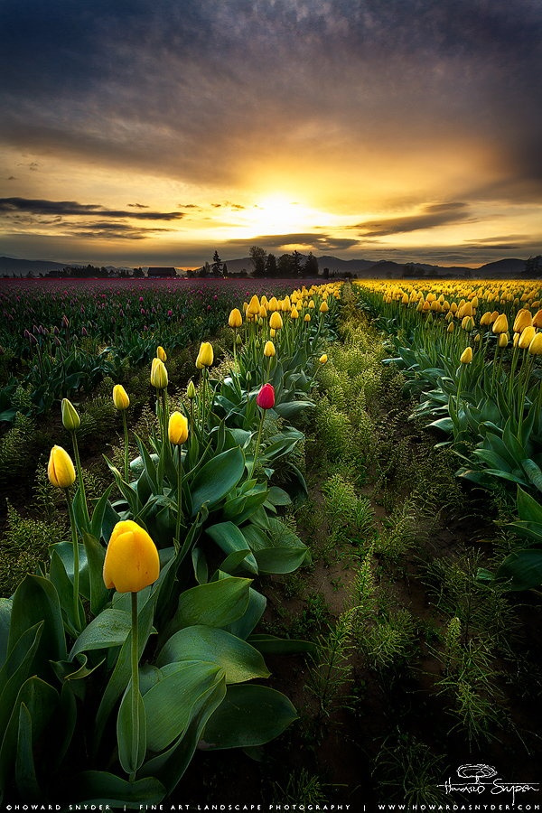 Skagit Valley Washington USA 13 Adorable Places Around the World via Photos