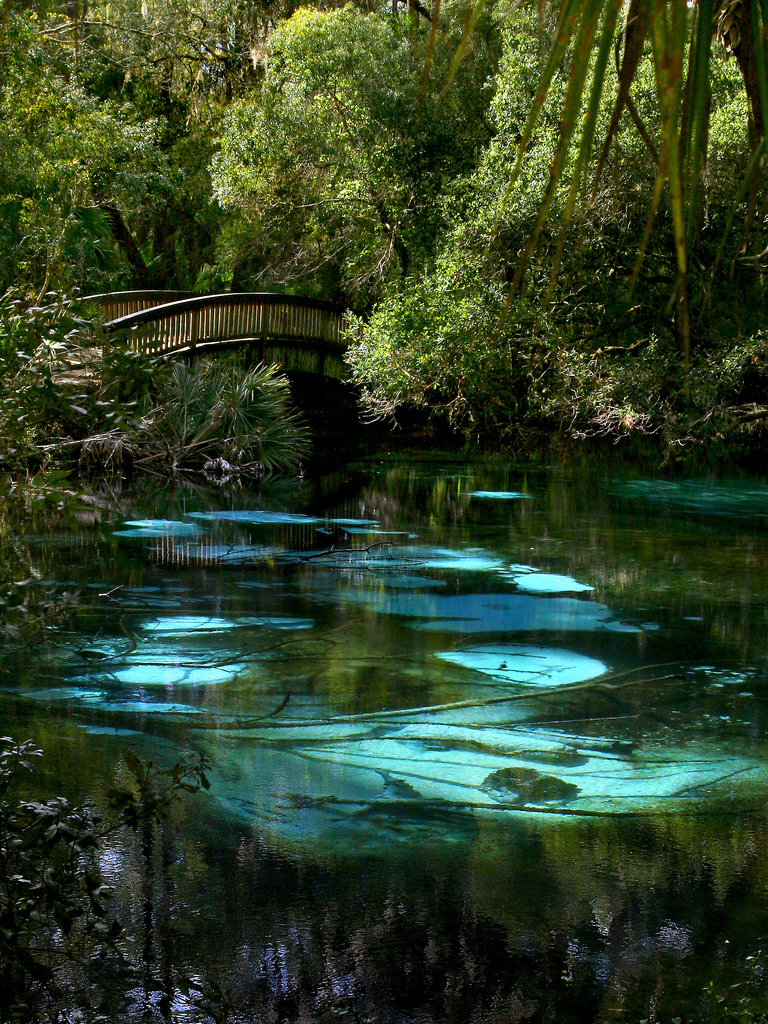 10 Amazing Nature Photos