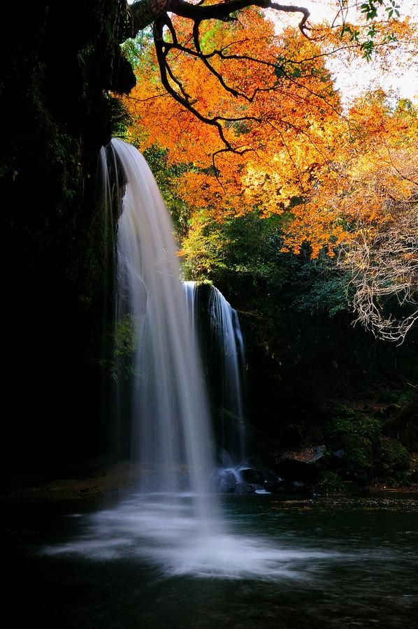 10 Amazing Nature Photos 79807e1d40747e46a490d97fb2387e51 10 Amazing Nature Photos