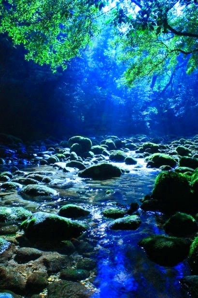 10 Amazing Nature Photos 90c4578d01c42428fb9b383ca0a509cb 10 Amazing Nature Photos