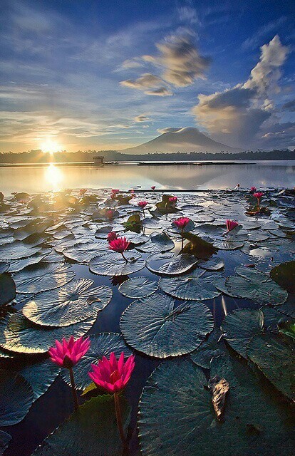 10 Amazing Nature Photos Sampaloc Lake Laguna Philippines 10 Amazing Nature Photos