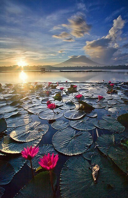 Sampaloc Lake Laguna Philippines 10 Amazing Nature Photos