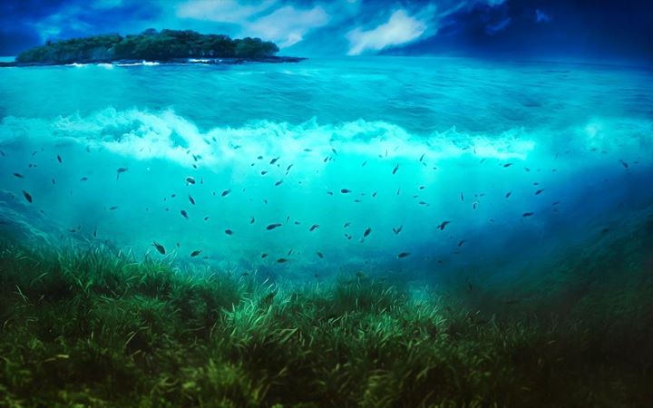 20 Fantastic Nature & Landscape Wallpapers World of Sea1 20 Fantastic Nature & Landscape Wallpapers