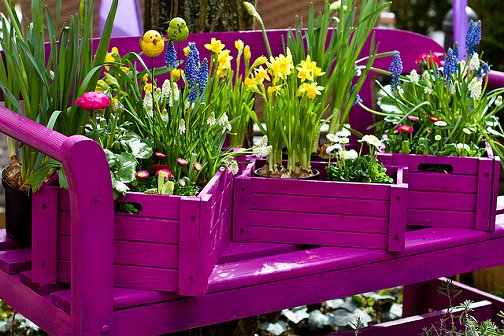 bright With These Decorations Make Your Garden Look More Interesting