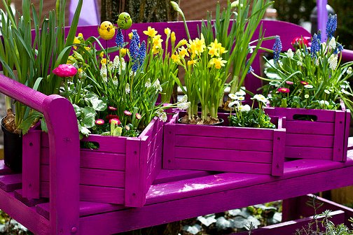 With These Decorations Make Your Garden Look More Interesting bright With These Decorations Make Your Garden Look More Interesting
