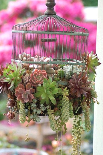 cage With These Decorations Make Your Garden Look More Interesting