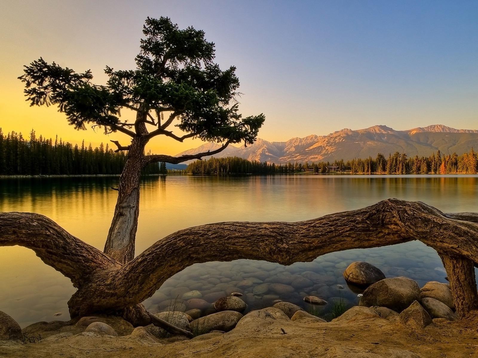 22 Amazing Walpapers Photos hd wallpaper 21 22 Amazing Walpapers Photos