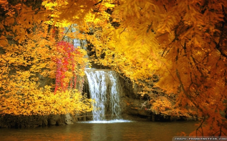 1206113 bigthumbnail1 20 Amazing and Colorful Autumn Photos