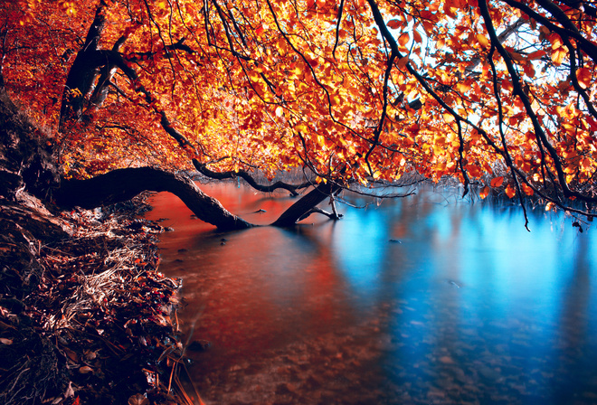 23589 20 Amazing and Colorful Autumn Photos