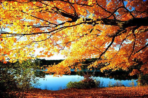 20 Amazing and Colorful Autumn Photos