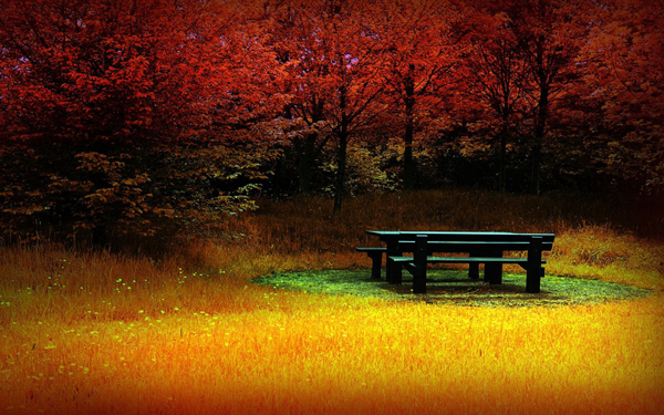 enhanced buzz 21446 1316621683 4 20 Amazing and Colorful Autumn Photos