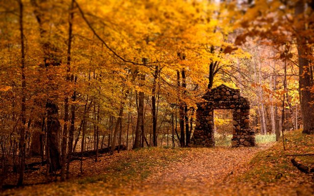 nature 20 Amazing and Colorful Autumn Photos