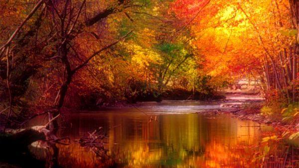 tumblr mc47k3dbss1r17l5go1 1280 20 Amazing and Colorful Autumn Photos
