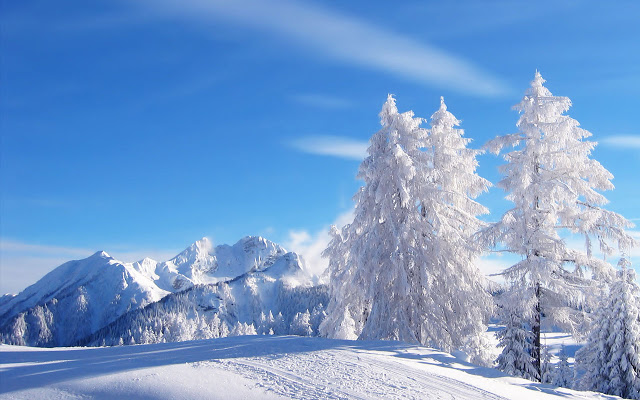 8356 winter snow 18 Breathtaking Winter Landscapes