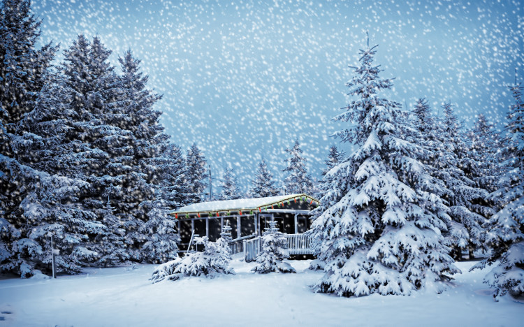 christmas snowstorm by frankief d4ju852 750x468 18 Breathtaking Winter Landscapes