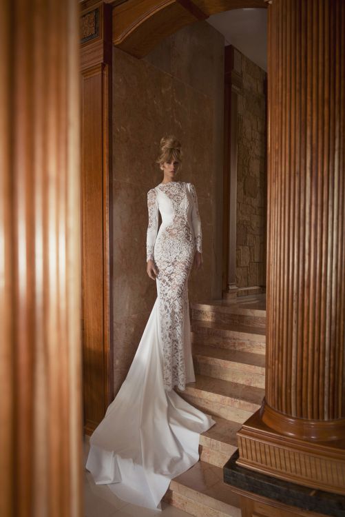 24 Oved Cohen 2014 Wedding Dresses – Laisha Production 2014