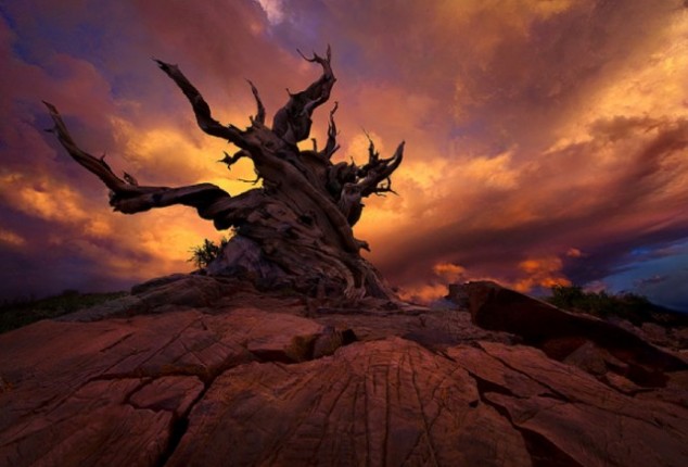 marc adamus 2 634x430 Impressive Landscapes By Marc Adamus