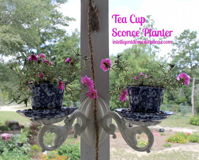 Tea Cup Sconce Planter. Repurposed sconce. Repurpose PorchProject.intelligentdomestications.com  634x512 20 Cool Ideas How To Reuse Tea Cap