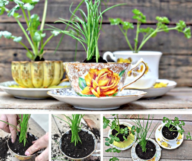  20 Cool Ideas How To Reuse Tea Cap