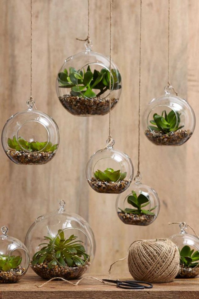 443 634x952 12 Creative Ideas How To Display Your Indoor Plants