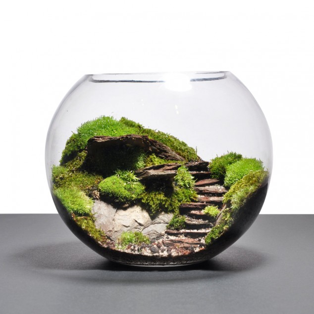 DSC 3522 1024x1024 634x634 15 Miniature Terrariums Masterpieces To Draw Creative Inspiration From