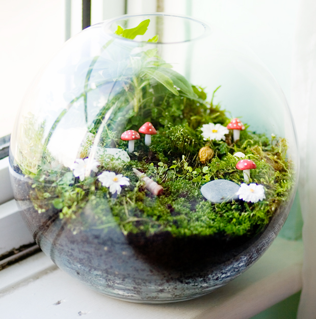 How to Make a Terrarium Take a Look at these 10 Adorable Ideas diy moss mushrooms gnomes succulents easy diy cute indoor garden container8 15 Miniature Terrariums Masterpieces To Draw Creative Inspiration From