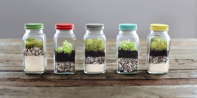 15 Miniature Terrariums Masterpieces To Draw Creative Inspiration From Target EarthDayCraft AshelyBrown 634x317 15 Miniature Terrariums Masterpieces To Draw Creative Inspiration From