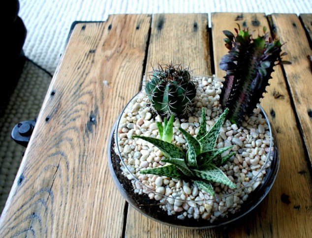 Terrarium Ideas06 634x485 15 Miniature Terrariums Masterpieces To Draw Creative Inspiration From