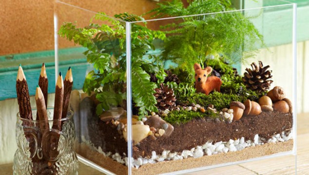 amazing unique terrarium ideas with picture of unique terrarium decor on design 634x360 15 Miniature Terrariums Masterpieces To Draw Creative Inspiration From