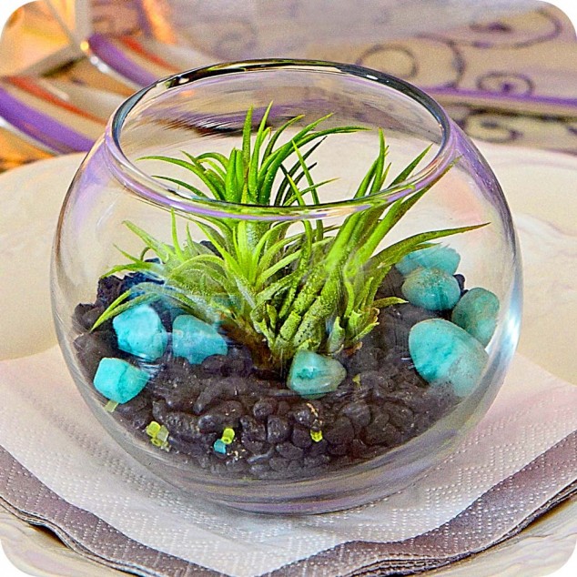 15 Miniature Terrariums Masterpieces To Draw Creative Inspiration From il fullxfull.356857176 czgu 634x634 15 Miniature Terrariums Masterpieces To Draw Creative Inspiration From