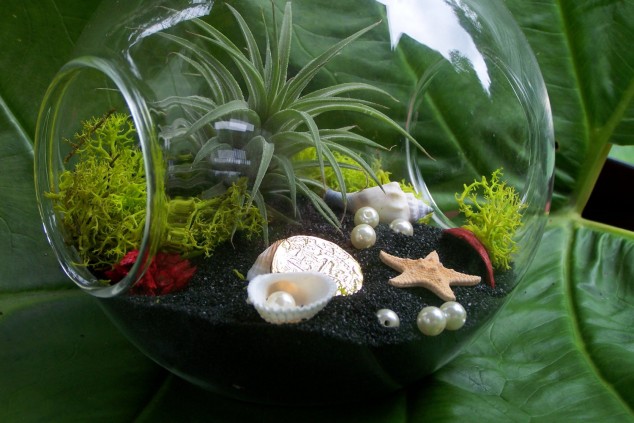 15 Miniature Terrariums Masterpieces To Draw Creative Inspiration From il fullxfull.383303997 l6k7 634x423 15 Miniature Terrariums Masterpieces To Draw Creative Inspiration From