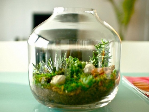 miniature terrarium plants 634x476 15 Miniature Terrariums Masterpieces To Draw Creative Inspiration From