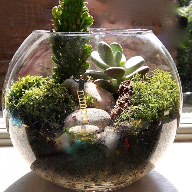 15 Miniature Terrariums Masterpieces To Draw Creative Inspiration From original mini world terrarium kit window cleaner 634x634 15 Miniature Terrariums Masterpieces To Draw Creative Inspiration From
