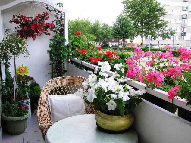 ozelenenie balkonov i lod 2 634x475 Make Your Balcony Look More Beautiful With These 15 Lovable Mini Gardens