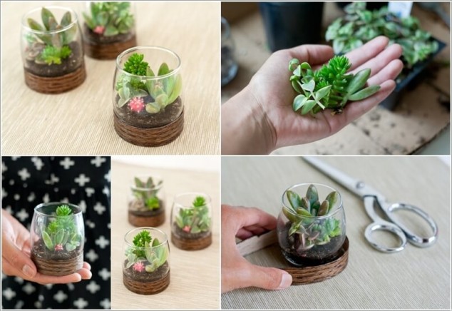 16 Inspirational Ideas How To Make A Perfect Terrarium On Your Own 120 634x436 16 Inspirational Ideas How To Make A Perfect Terrarium On Your Own