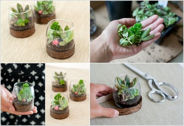 120 634x436 16 Inspirational Ideas How To Make A Perfect Terrarium On Your Own