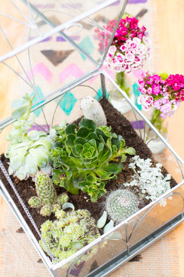 16 Inspirational Ideas How To Make A Perfect Terrarium On Your Own 158 620x930 16 Inspirational Ideas How To Make A Perfect Terrarium On Your Own