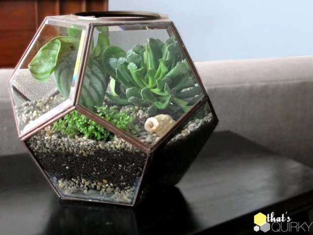 16 Inspirational Ideas How To Make A Perfect Terrarium On Your Own 7369975254 52d2c99633 o 634x476 16 Inspirational Ideas How To Make A Perfect Terrarium On Your Own
