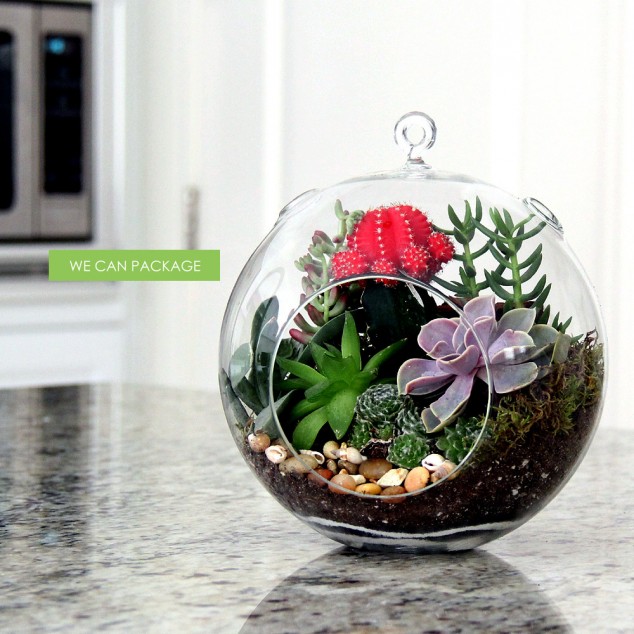 8 inch terrarium diy 634x634 16 Inspirational Ideas How To Make A Perfect Terrarium On Your Own